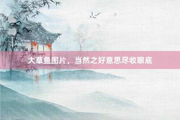 大草鱼图片，当然之好意思尽收眼底